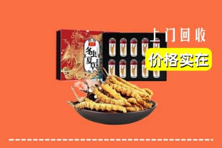 株洲炎陵县回收冬虫夏草