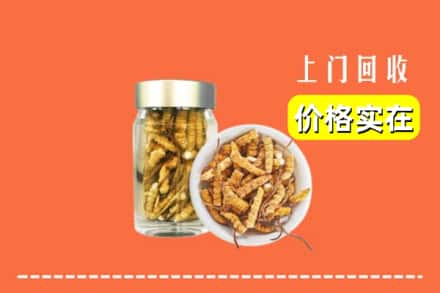 株洲炎陵县回收散虫草