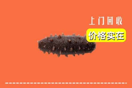 株洲炎陵县回收海参
